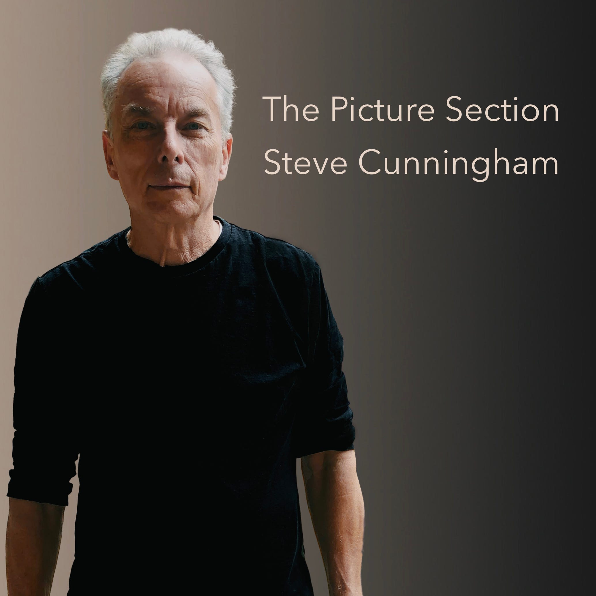 Album cover for The Picture Section by Steve Cunningham